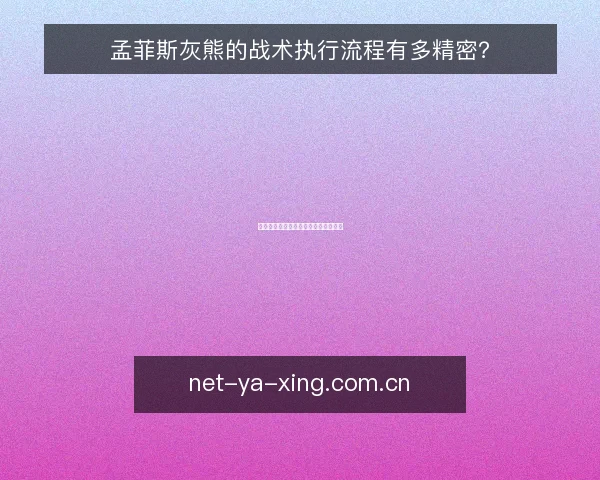 孟菲斯灰熊的战术执行流程有多精密?